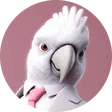 fieske92