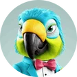 stijn_hasselts